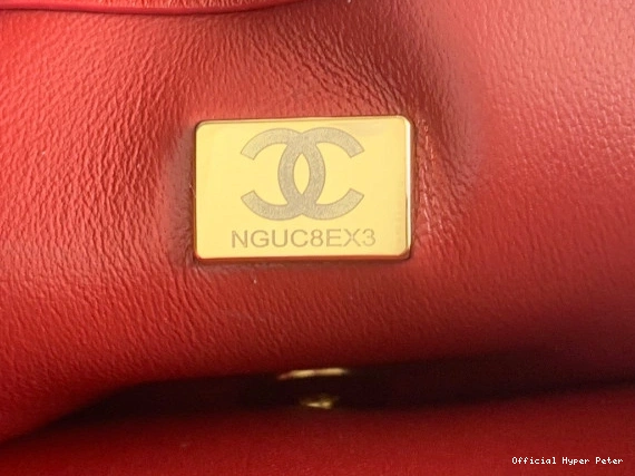 Hyper Peter CHANEL FLAP BAG 0806